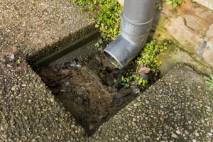 Signs You Need Drain Cleaning