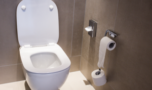 Your Toilet Isn’t Flushing Properly Causes and Fixes