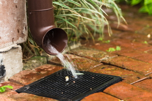 storm drains prevent sewer backups